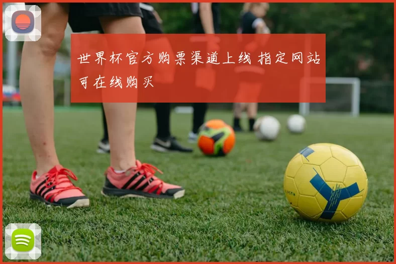 世界杯官方购票渠道上线 指定网站可在线购买