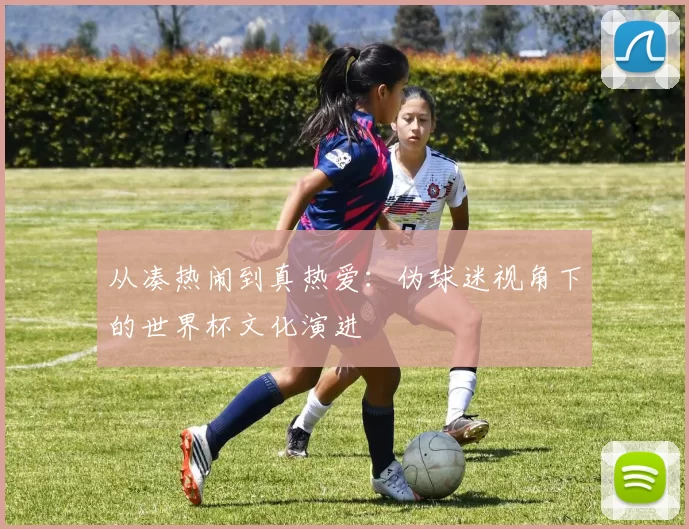 从凑热闹到真热爱：伪球迷视角下的世界杯文化演进