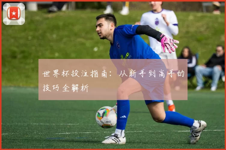 世界杯投注指南：从新手到高手的技巧全解析