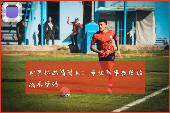世界杯燃情时刻:专访冠军教练的战术密码
