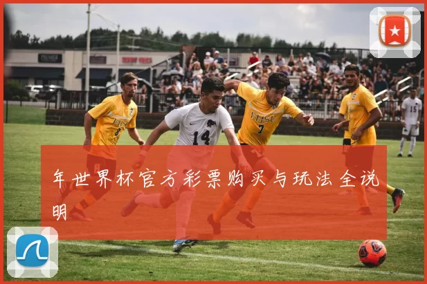 年世界杯官方彩票购买与玩法全说明