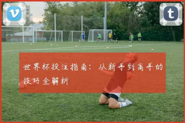世界杯投注指南:从新手到高手的技巧全解析