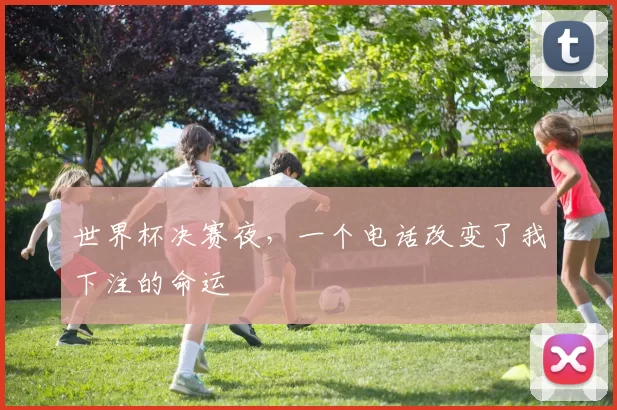 世界杯决赛夜,一个电话改变了我下注的命运