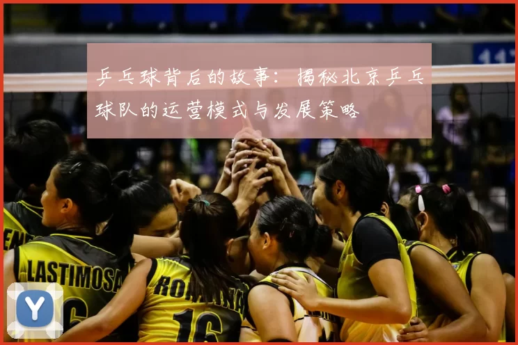 乒乓球背后的故事：揭秘北京乒乓球队的运营模式与发展策略