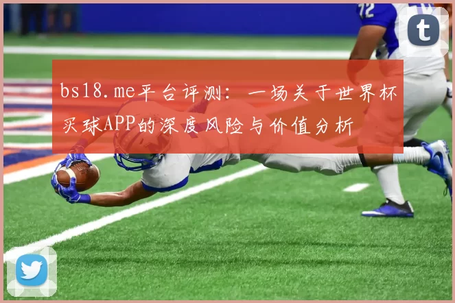bs18.me平台评测：一场关于世界杯买球APP的深度风险与价值分析