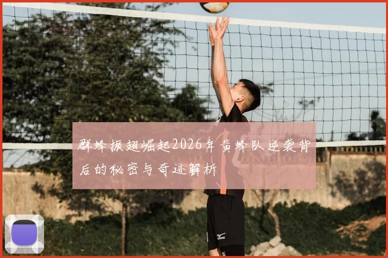 群蜂振翅崛起2026年黄蜂队逆袭背后的秘密与奇迹解析