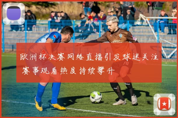 欧洲杯决赛网络直播引发球迷关注 赛事观看热度持续攀升