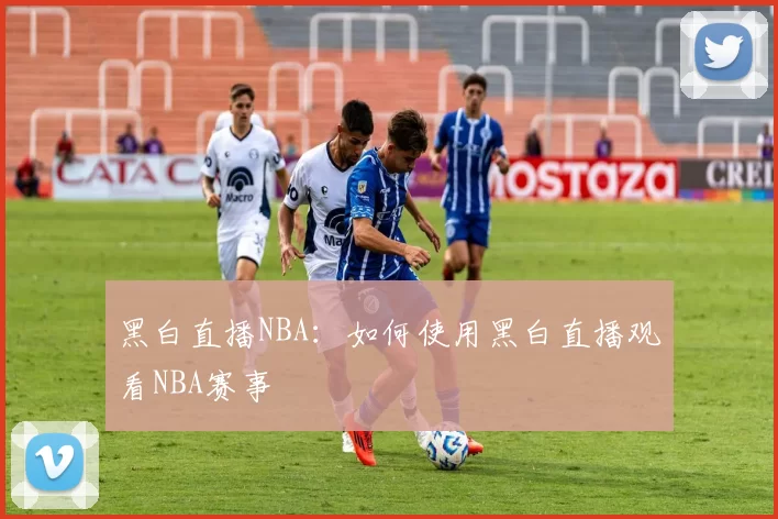 黑白直播NBA:如何使用黑白直播观看NBA赛事