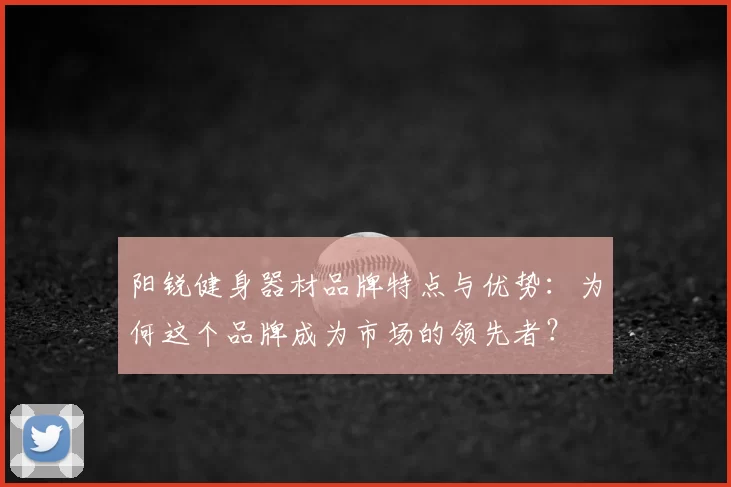 阳锐健身器材品牌特点与优势：为何这个品牌成为市场的领先者？