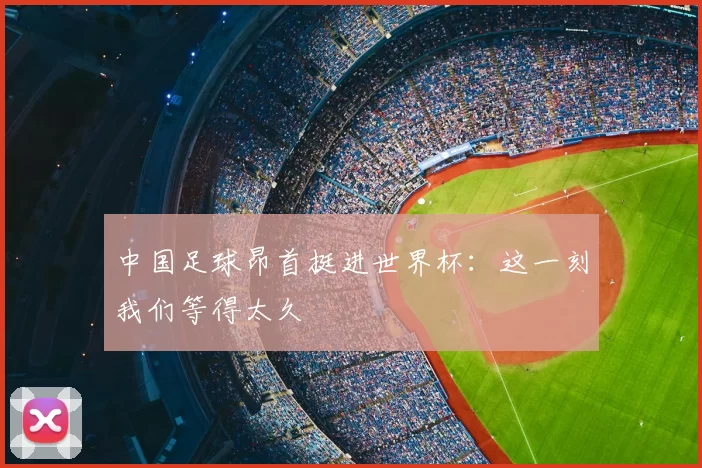 中国足球昂首挺进世界杯：这一刻我们等得太久