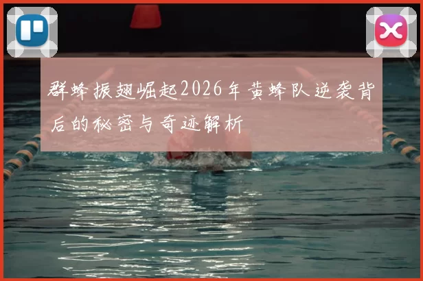 群蜂振翅崛起2026年黄蜂队逆袭背后的秘密与奇迹解析
