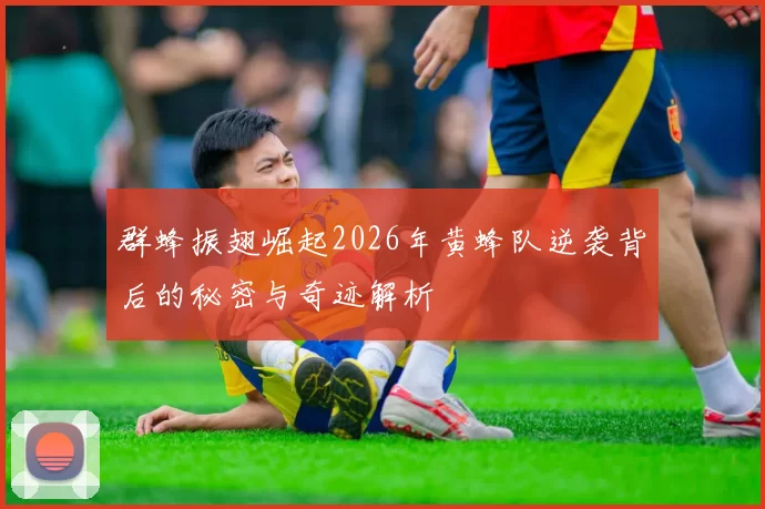群蜂振翅崛起2026年黄蜂队逆袭背后的秘密与奇迹解析