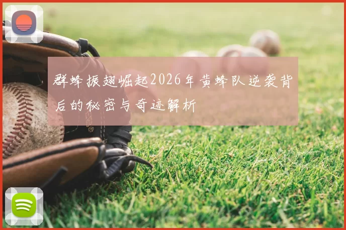 群蜂振翅崛起2026年黄蜂队逆袭背后的秘密与奇迹解析