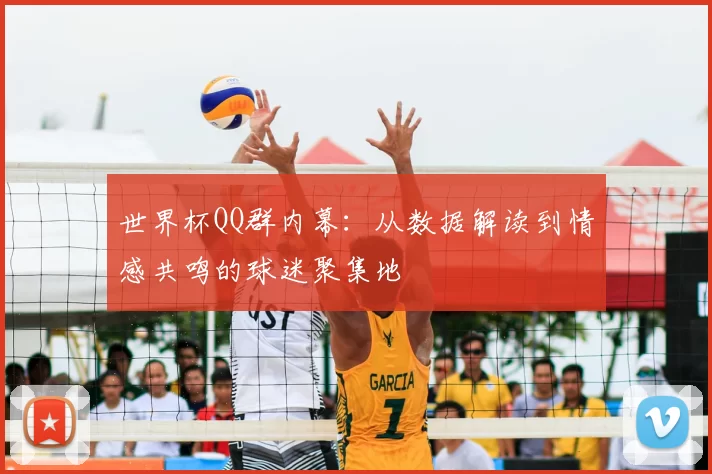 世界杯QQ群内幕：从数据解读到情感共鸣的球迷聚集地