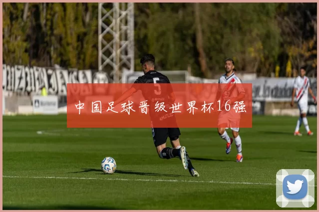 中国足球晋级世界杯16强