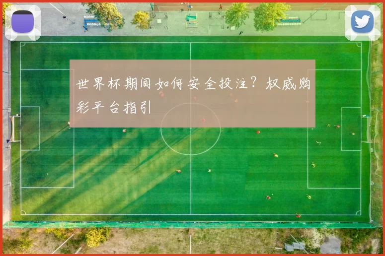 世界杯期间如何安全投注?权威购彩平台指引